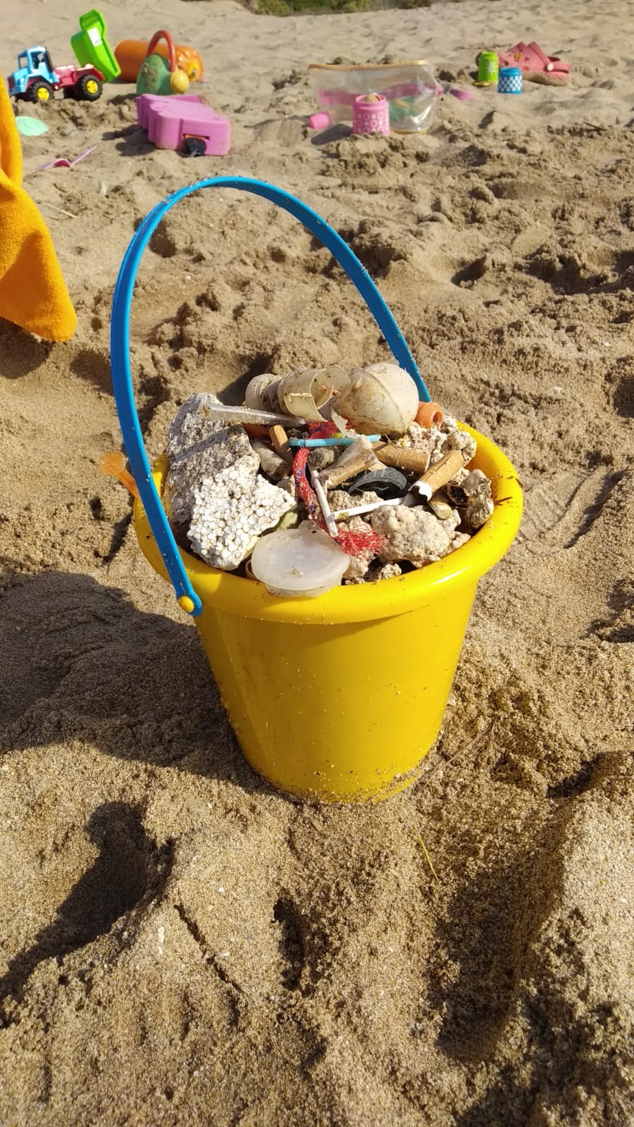 Pequeñas manos, grandes gestos