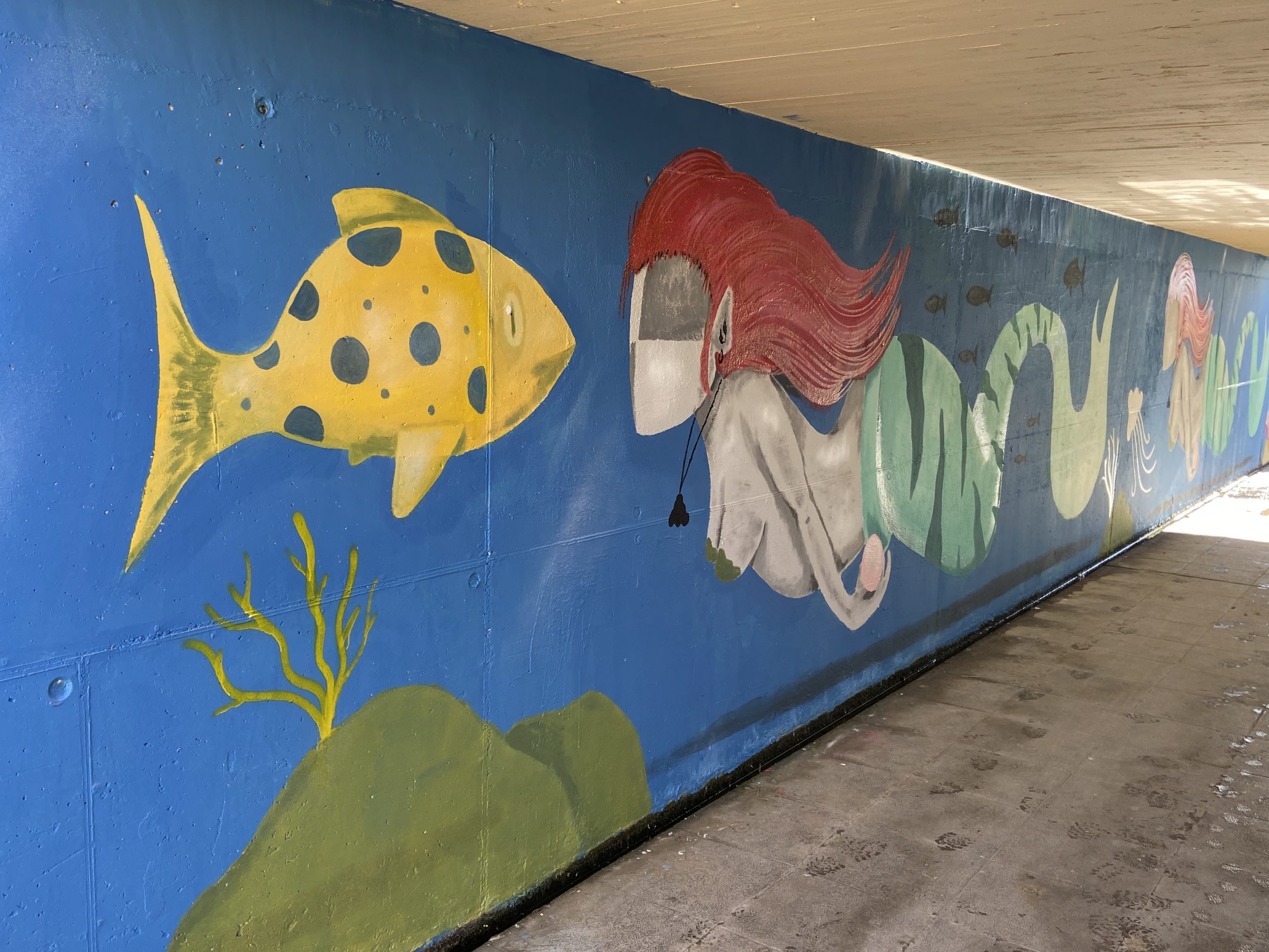Paso Subterráneo Pintado !